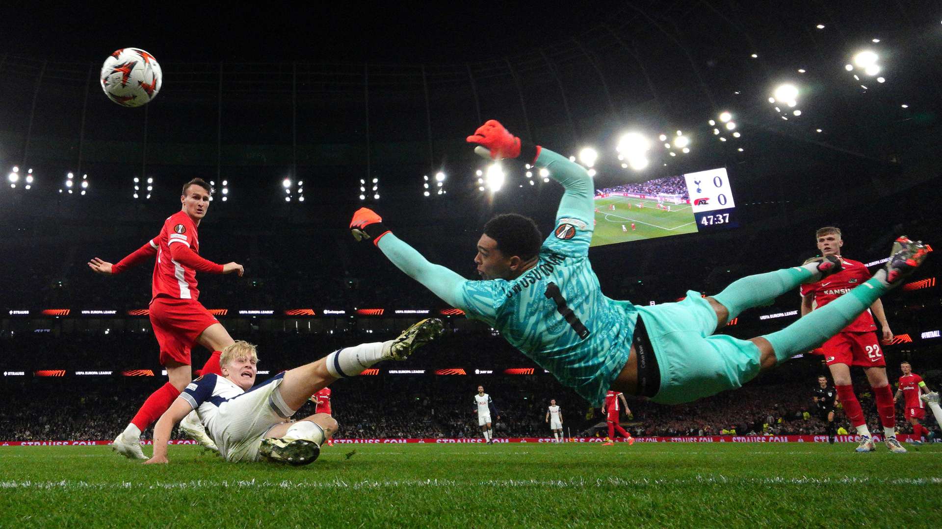 以其坚韧的 以其坚韧的